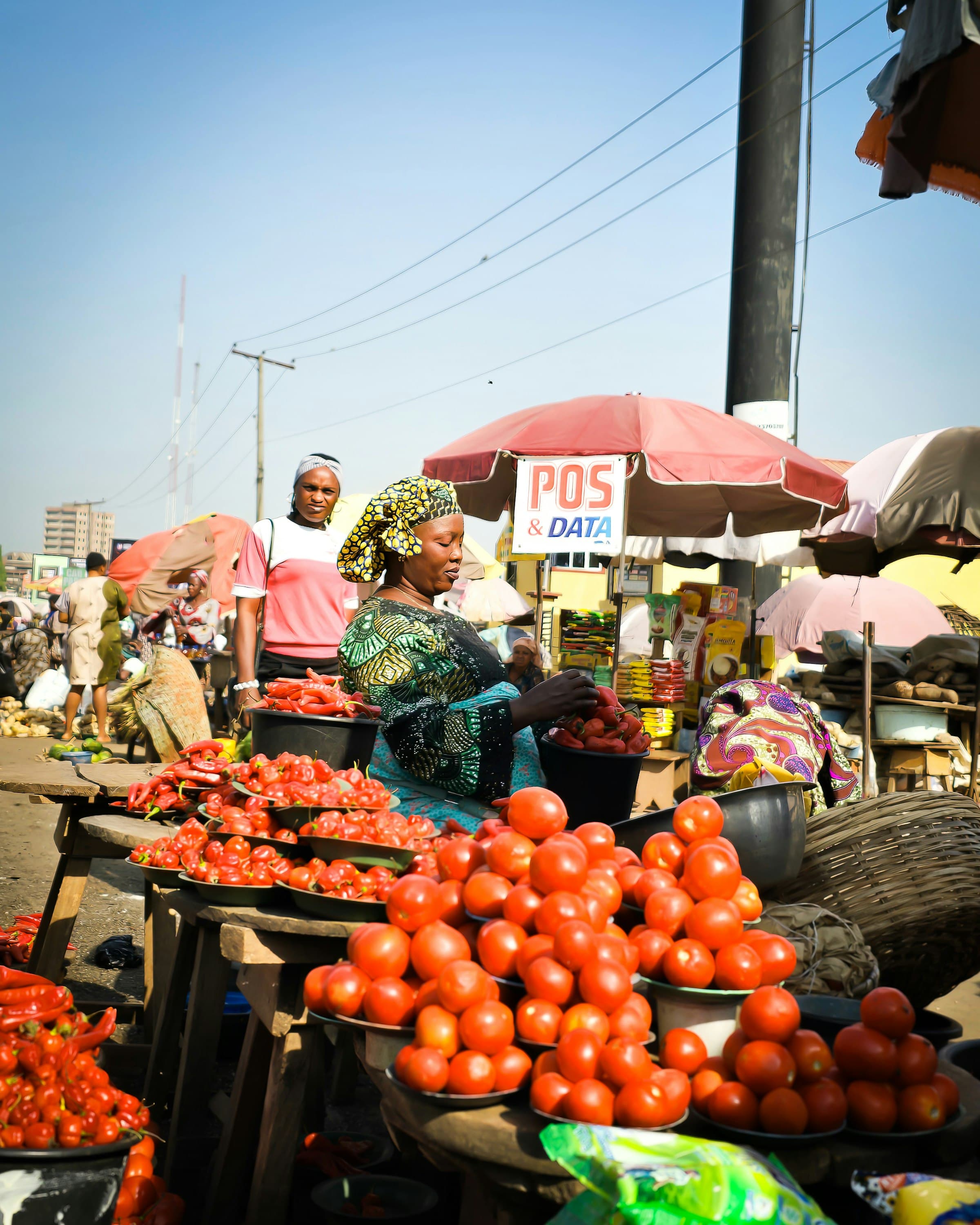 A vendor arranges tomatoes and peppers at her market stall, Bodija Market, Ibadan, Nigeria.